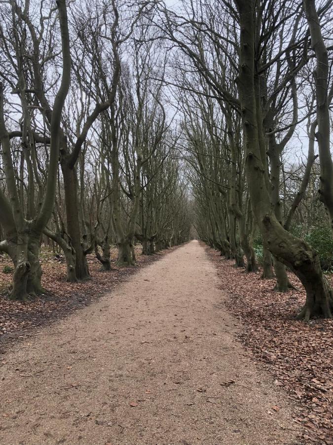 Dorpsdijk 49, Vrouwenpolder Vakantie Eksteriør bilde