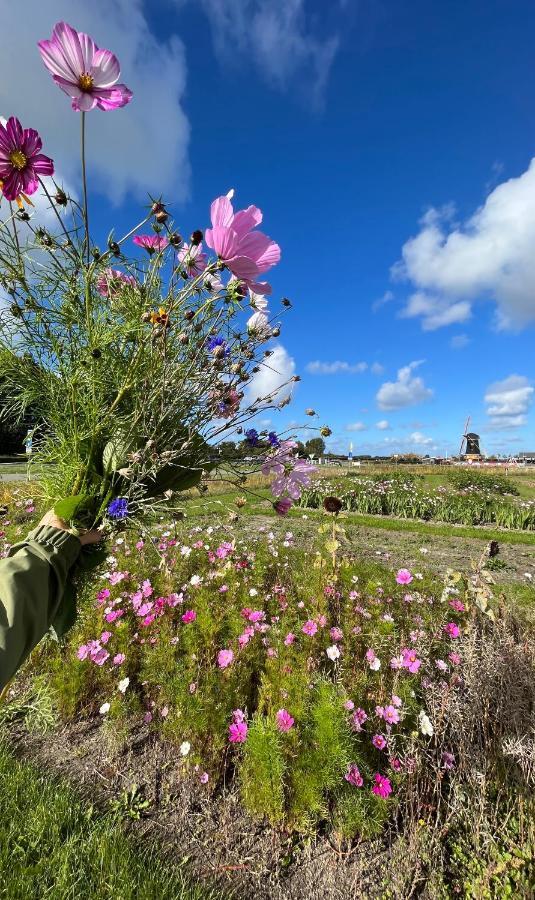 Dorpsdijk 49, Vrouwenpolder Vakantie Eksteriør bilde